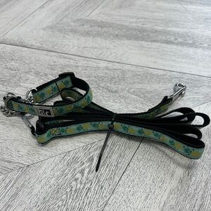 RC Pets Pineapple Pattern Size Small Dog Collar and Leash Set